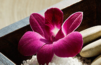 Blush Beauty Saloons - Gold Coast Attractions 4