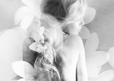 Elysium- A Place Of Beauty - Gold Coast Attractions 1