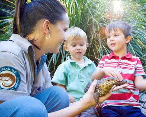 David Fleay Wildlife Park - Gold Coast Attractions 3