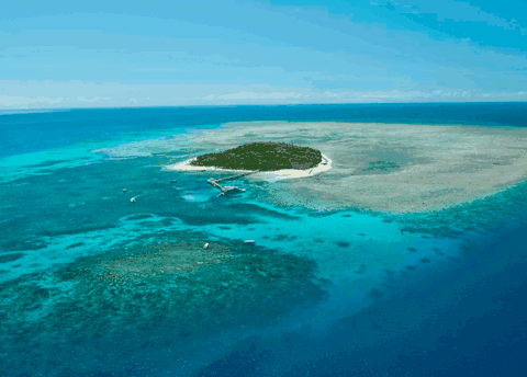 Big Cat Green Island Reef Cruises - Gold Coast Attractions 1