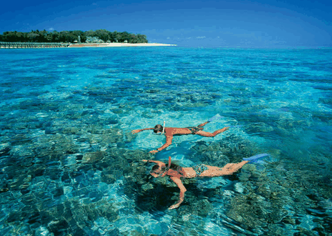 Big Cat Green Island Reef Cruises - Gold Coast Attractions 4