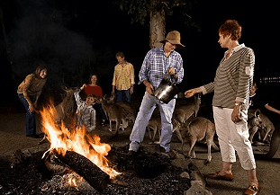 Cairns Night Zoo - Gold Coast Attractions 0