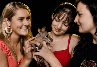 Cairns Night Zoo - Gold Coast Attractions 1