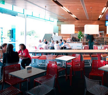 The Icehouse - Gold Coast Attractions 3