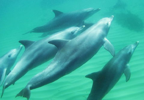 Rockingham Wild Encounters - Gold Coast Attractions 4