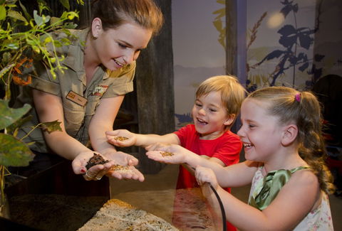 WILD LIFE Sydney Zoo - Gold Coast Attractions 1