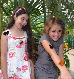 WILD LIFE Sydney Zoo - Gold Coast Attractions 4