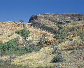 Mount Newman - Gold Coast Attractions 0