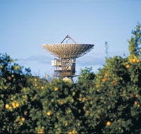 Big Dish - Gold Coast Attractions