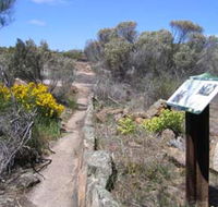 Christmas Rock Walk - Gold Coast Attractions