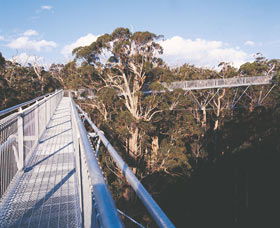  Gold Coast Attractions
