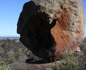 Eagle's View Walk, John Forrest National Park - Gold Coast Attractions 0