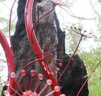 Understory Art In Nature - Gold Coast Attractions