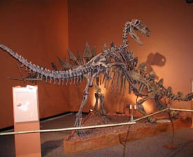 Denmark Dinosaur World - Gold Coast Attractions 0