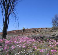 Talgomine Reserve - Gold Coast Attractions