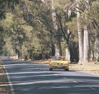 Ludlow Tuart Forest - Gold Coast Attractions