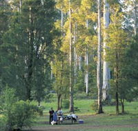 Big Brook Arboretum - Gold Coast Attractions