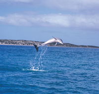 Steep Point - Gold Coast Attractions