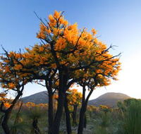 Cape Le Grand National Park - Gold Coast Attractions
