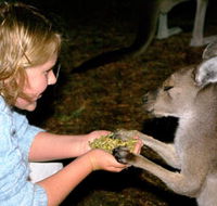 Discovery Bay's Walk on the Wild Side - Gold Coast Attractions