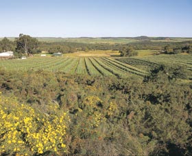 Chapman Valley Scenic Drive - Gold Coast Attractions 0