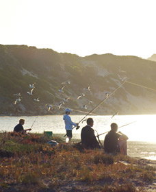 Culham Inlet - Gold Coast Attractions 0
