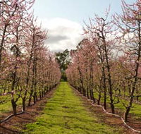 Raeburn Orchards - Gold Coast Attractions