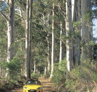 Mount Shadforth Scenic Drive - Gold Coast Attractions