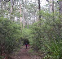 Margaret River Rails Trail - Gold Coast Attractions