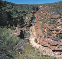 Ross Graham Lookout - Gold Coast Attractions