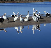 Peel Region Canoe Trails - Gold Coast Attractions