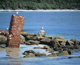 Whalers Beach - Gold Coast Attractions 0