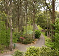 Mount Lofty Botanic Garden - Gold Coast Attractions