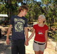 Crooked Brook Forest - Gold Coast Attractions