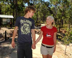 Crooked Brook Forest - Gold Coast Attractions 0