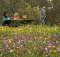 Gwambygine Park - Gold Coast Attractions