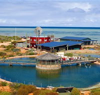 Ocean Park Aquarium - Gold Coast Attractions