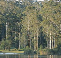 Big Brook Dam - Gold Coast Attractions