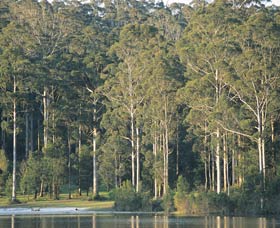 Big Brook Dam - Gold Coast Attractions 0