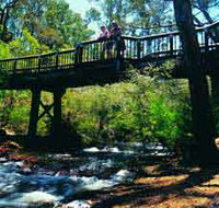 Barrabup Pool - Gold Coast Attractions
