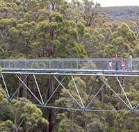 Walpole Wilderness Discovery Centre - Gold Coast Attractions