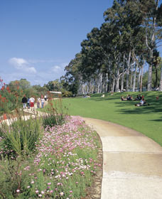 Kings Park Free Guided Walks - Gold Coast Attractions 0