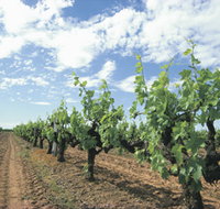 Blackwood Meadery - Gold Coast Attractions