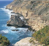 Island Rock and Natural Bridge - Gold Coast Attractions
