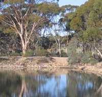 Merredin Railway Dam - Gold Coast Attractions