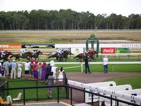 Pinjarra Race Club - Gold Coast Attractions 0