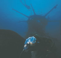 Swan Dive Wreck - Gold Coast Attractions