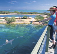 Shark Bay Marine Park - Gold Coast Attractions