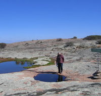 Dingo Rock - Gold Coast Attractions
