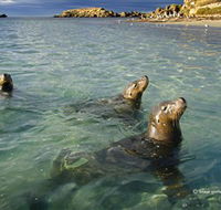 Shoalwater Islands Marine Park - Gold Coast Attractions